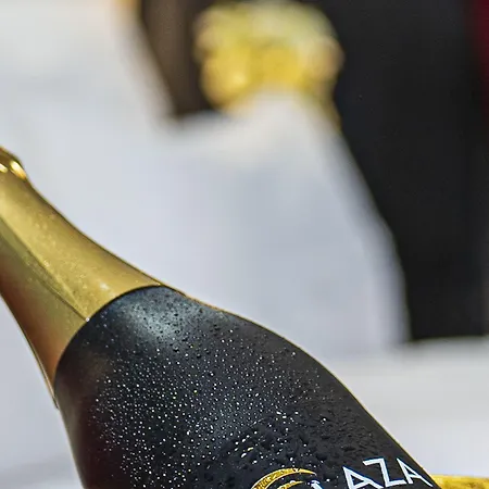 Plaza Premium Hotel 4*